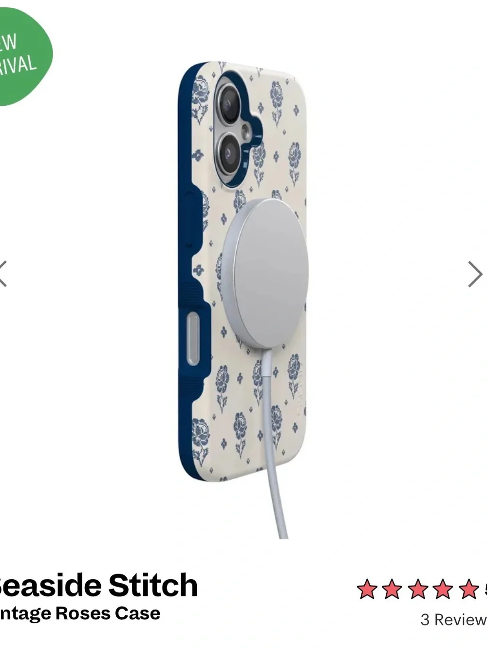 Seaside stitch vintage roses case (iPhone 17)